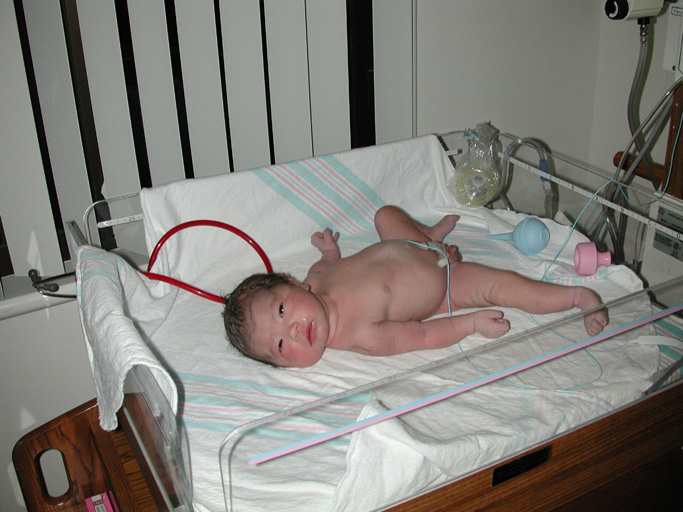 New to the world