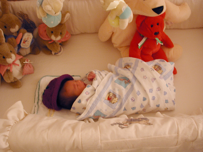 Maya Arrives Home