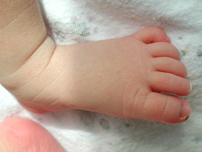Closeups: Foot