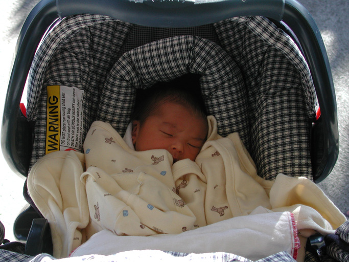 Maya heads out into the surreal world (to Stanford Shopping Center)