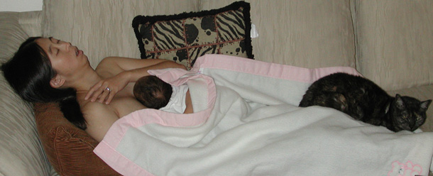 We all finally get some sleep