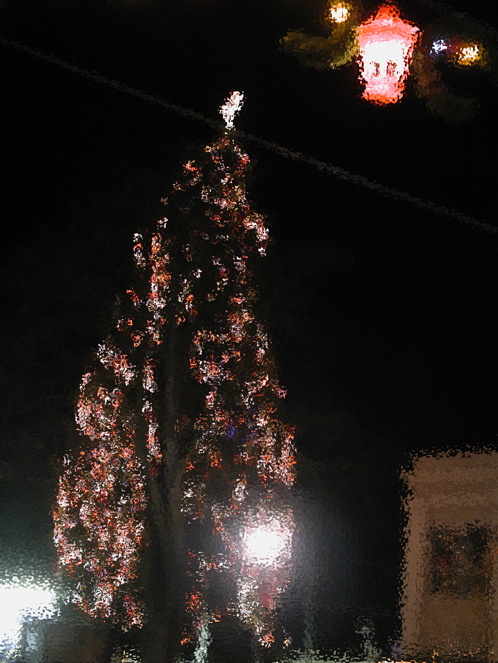 Christmas Card at Mt. Shashta