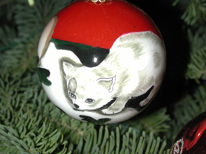 Cat balls: Part of Mark and Rebecca's gift from Mark's parents - 1