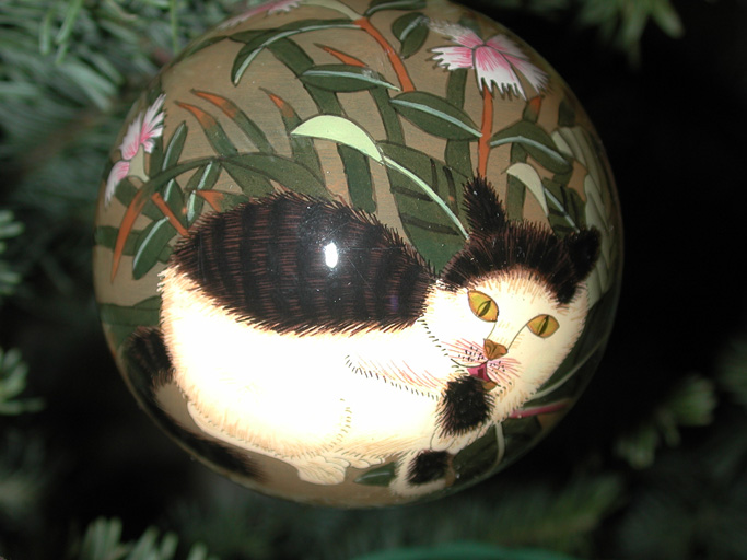 Cat balls: Part of Mark and Rebecca's gift from Mark's parents - 2