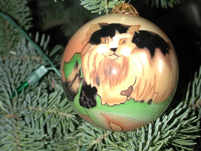 Cat balls: Part of Mark and Rebecca's gift from Mark's parents - 3