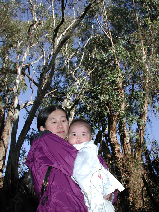 In search of monarchs
