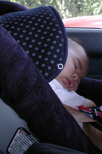 Were we all this flexible and sleepy
