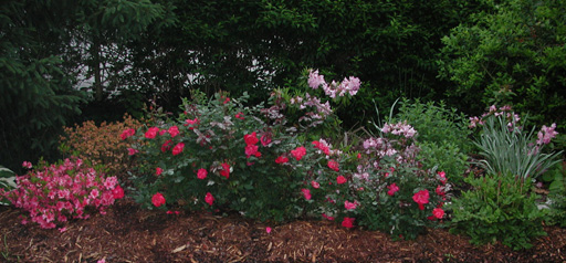 Howard's gardens