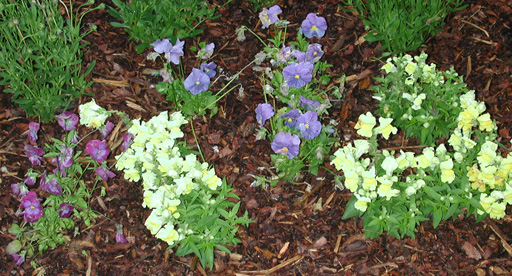 Howard's gardens