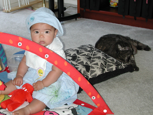 Purrbox and Maya are getting to be friends (until Maya learns to crawl)