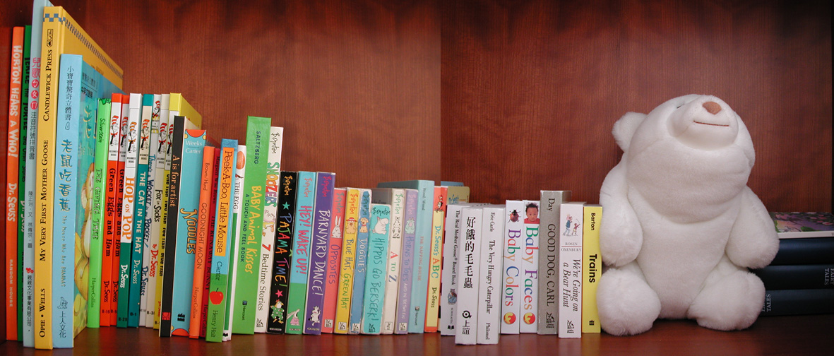 The beginning of Maya's library