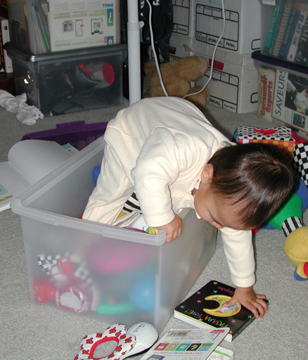I can put all the toys away� wait� am I just a toy too?