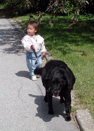 Who's walking who?