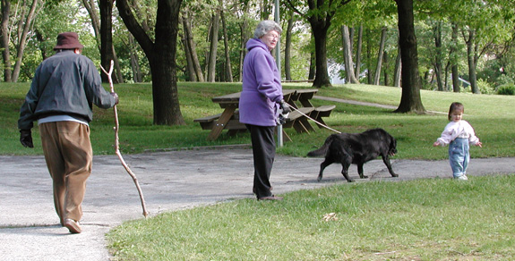 Another day at the park