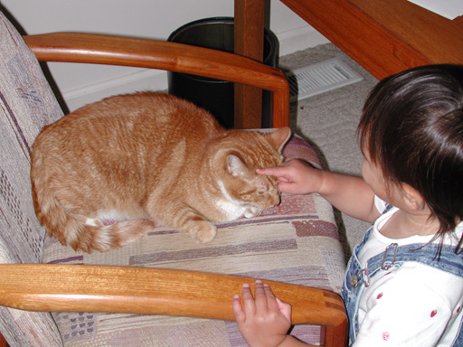 Finally, first contact of a gentle kind