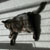 The penalty of being outcat: We decided to stuff and mount Purrbox