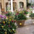 Flowers - 1