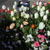 I never get tired of flowers