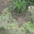 Some of the other wildlife in Paoli