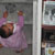 Maya ponders future careers: do or review?