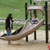 Watch this mommy�
