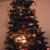 The Christmas tree (not yet submerged under presents)