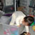 I can put all the toys away� wait� am I just a toy too?