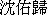 David Shen's Chinese Name