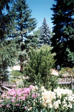 Howard's Gardening